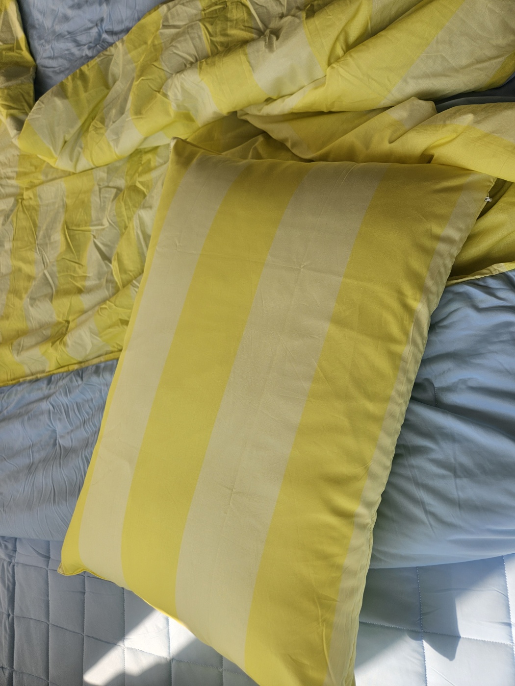 이미지를 찾을 수 없습니다.