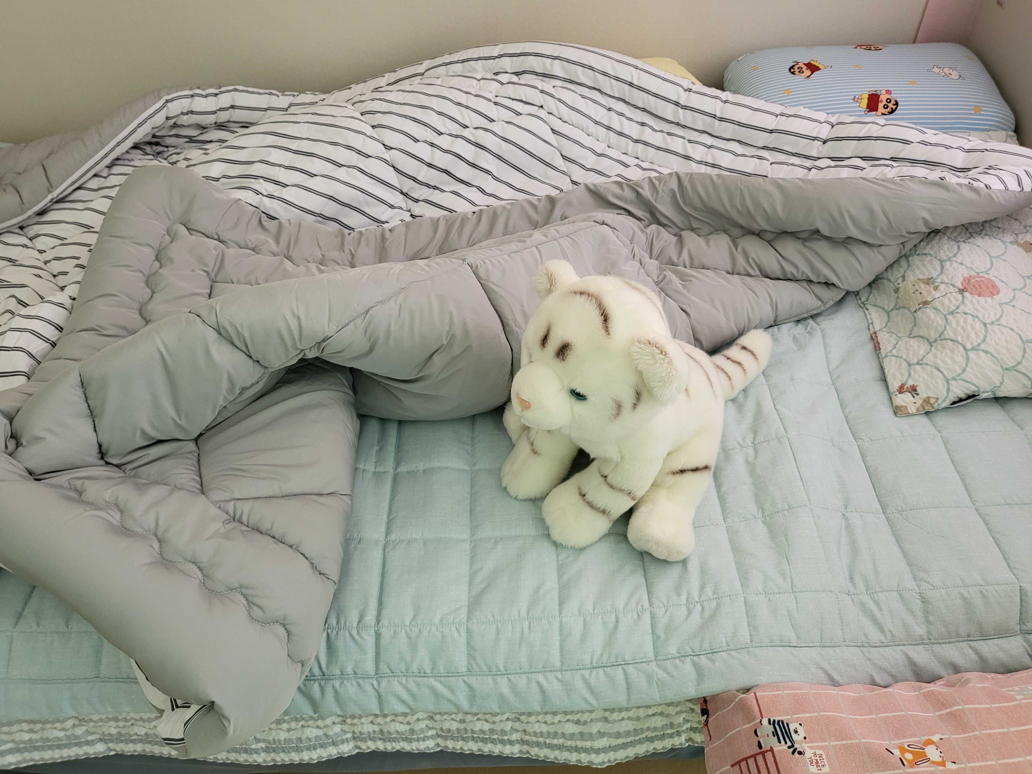 이미지를 찾을 수 없습니다.