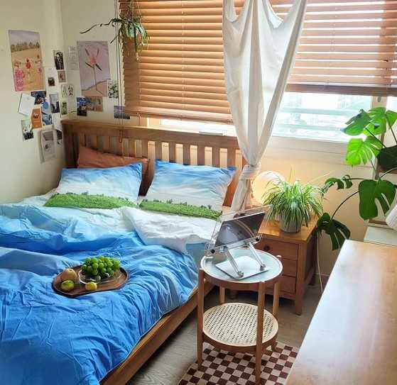 이미지를 찾을 수 없습니다.