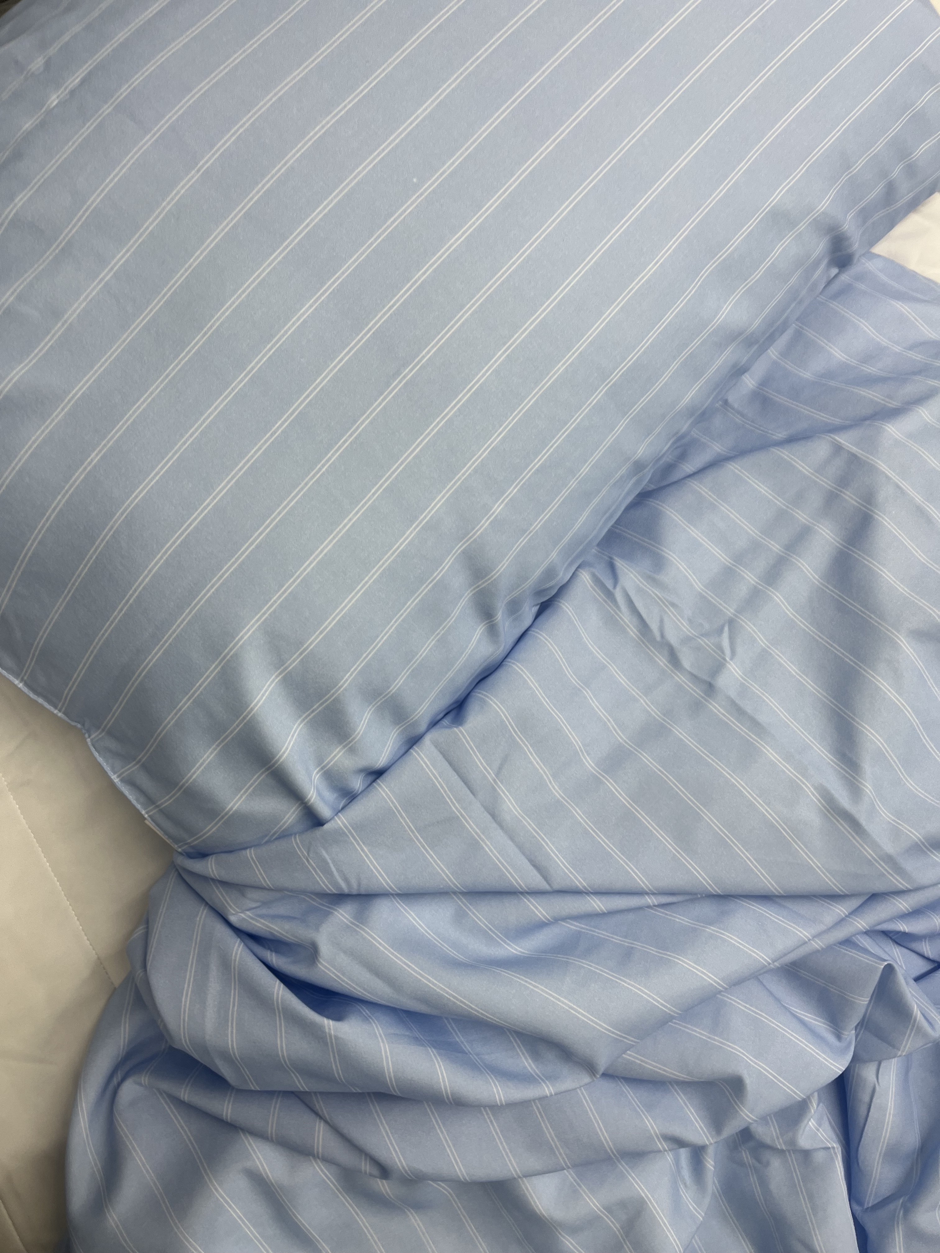 이미지를 찾을 수 없습니다.