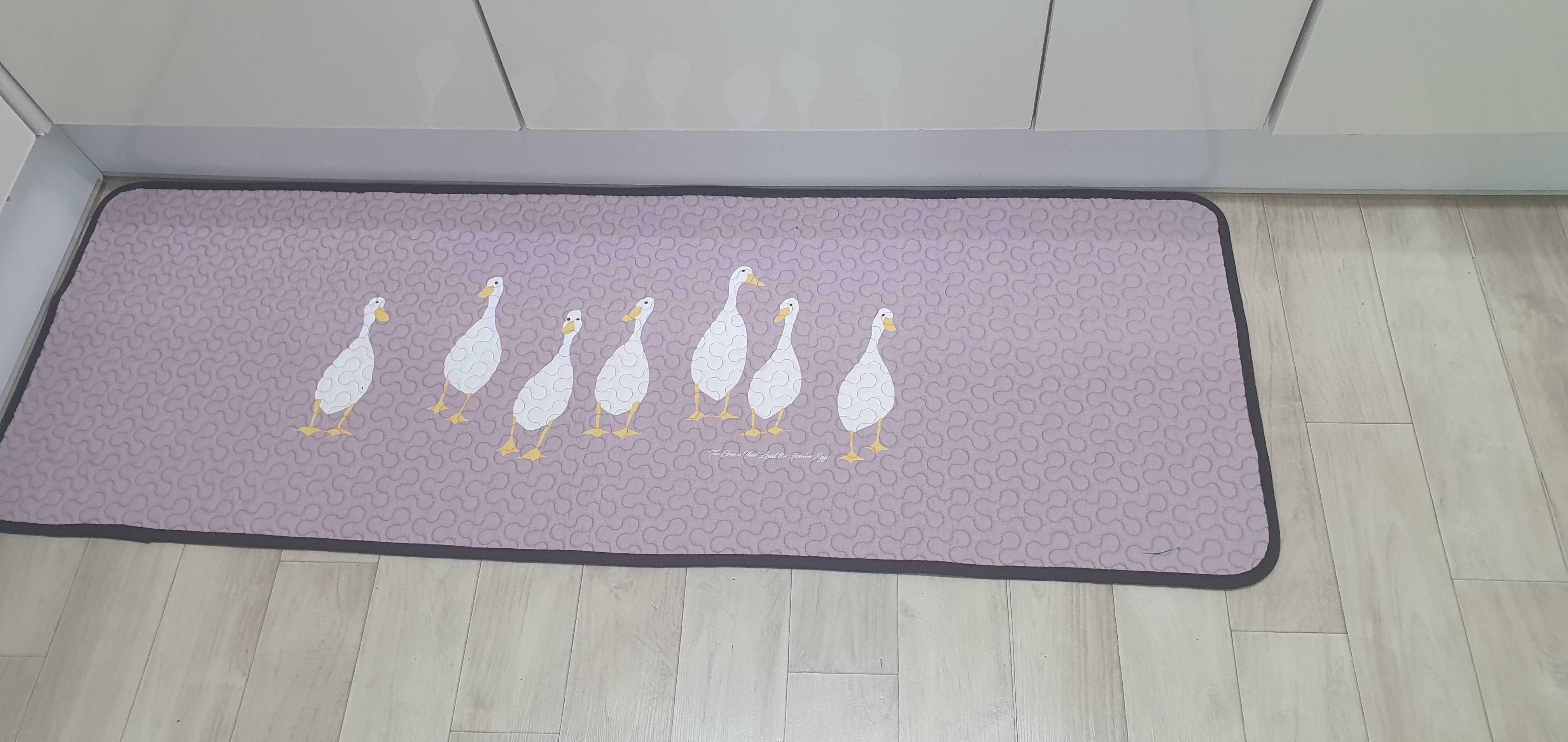 이미지를 찾을 수 없습니다.