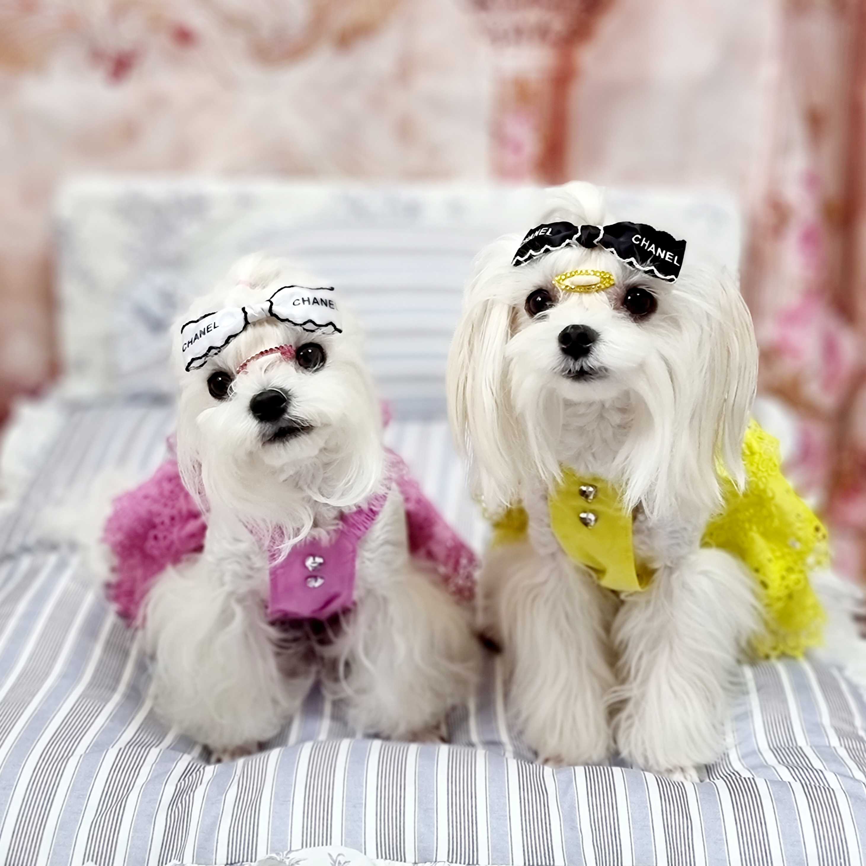 이미지를 찾을 수 없습니다.