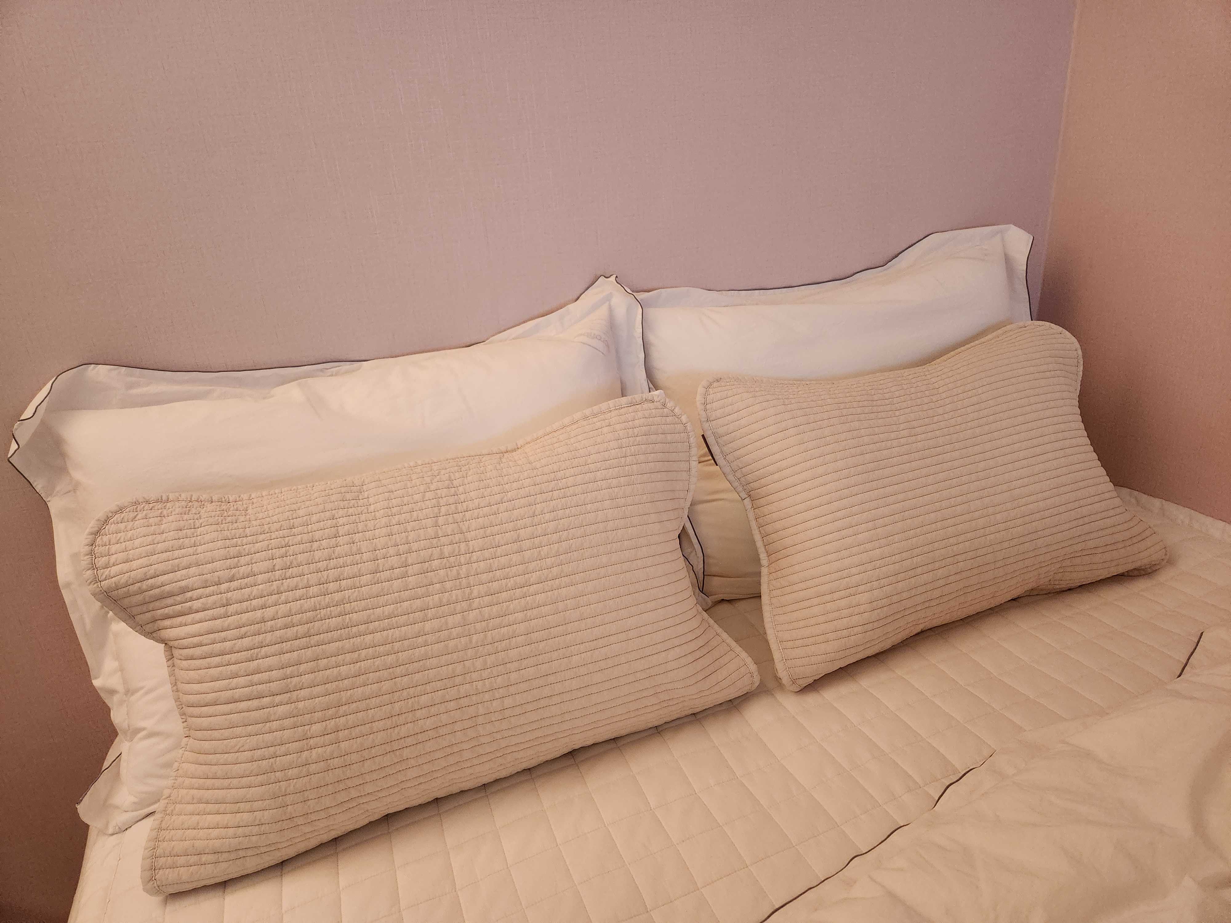 이미지를 찾을 수 없습니다.