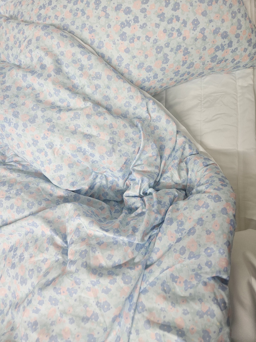 이미지를 찾을 수 없습니다.