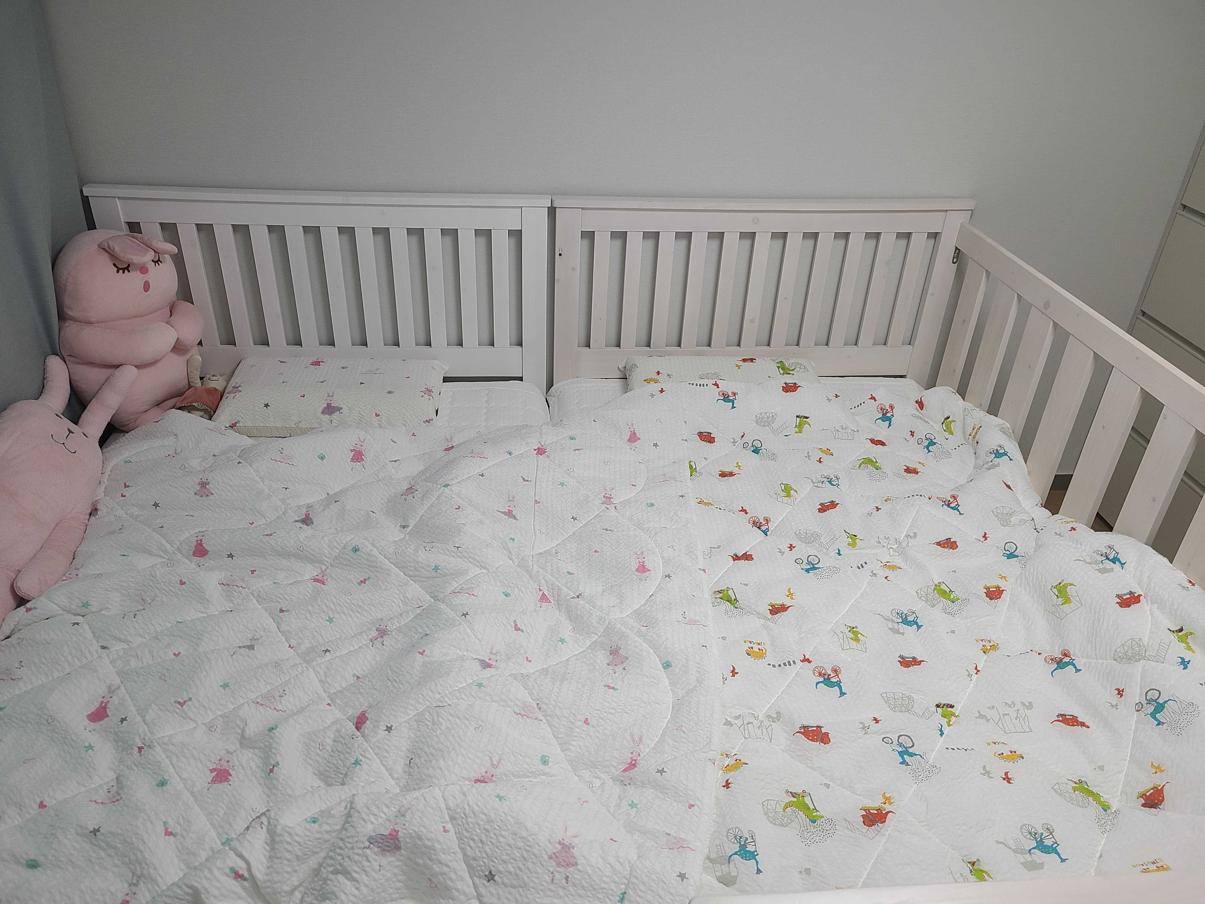 이미지를 찾을 수 없습니다.