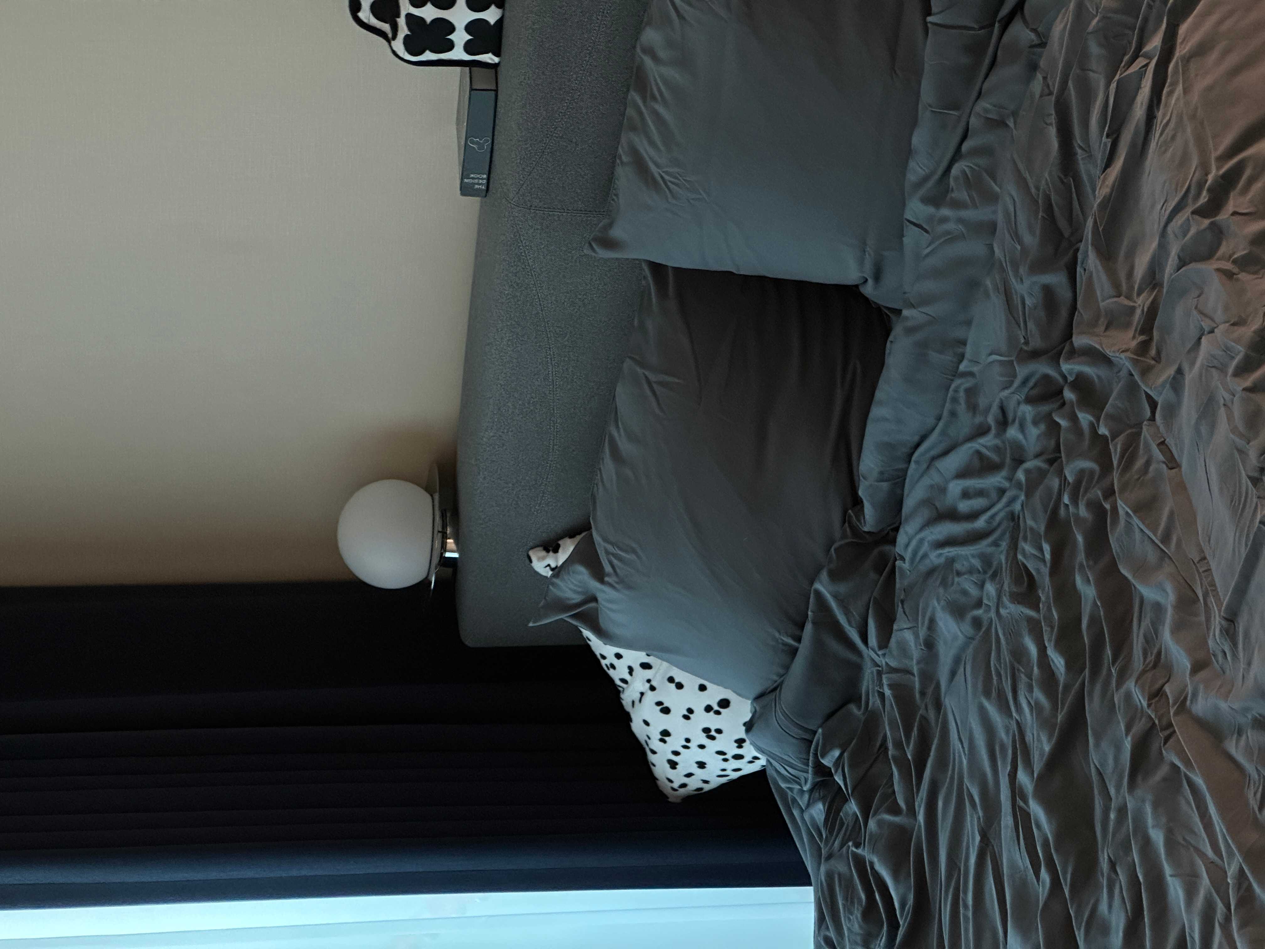 이미지를 찾을 수 없습니다.