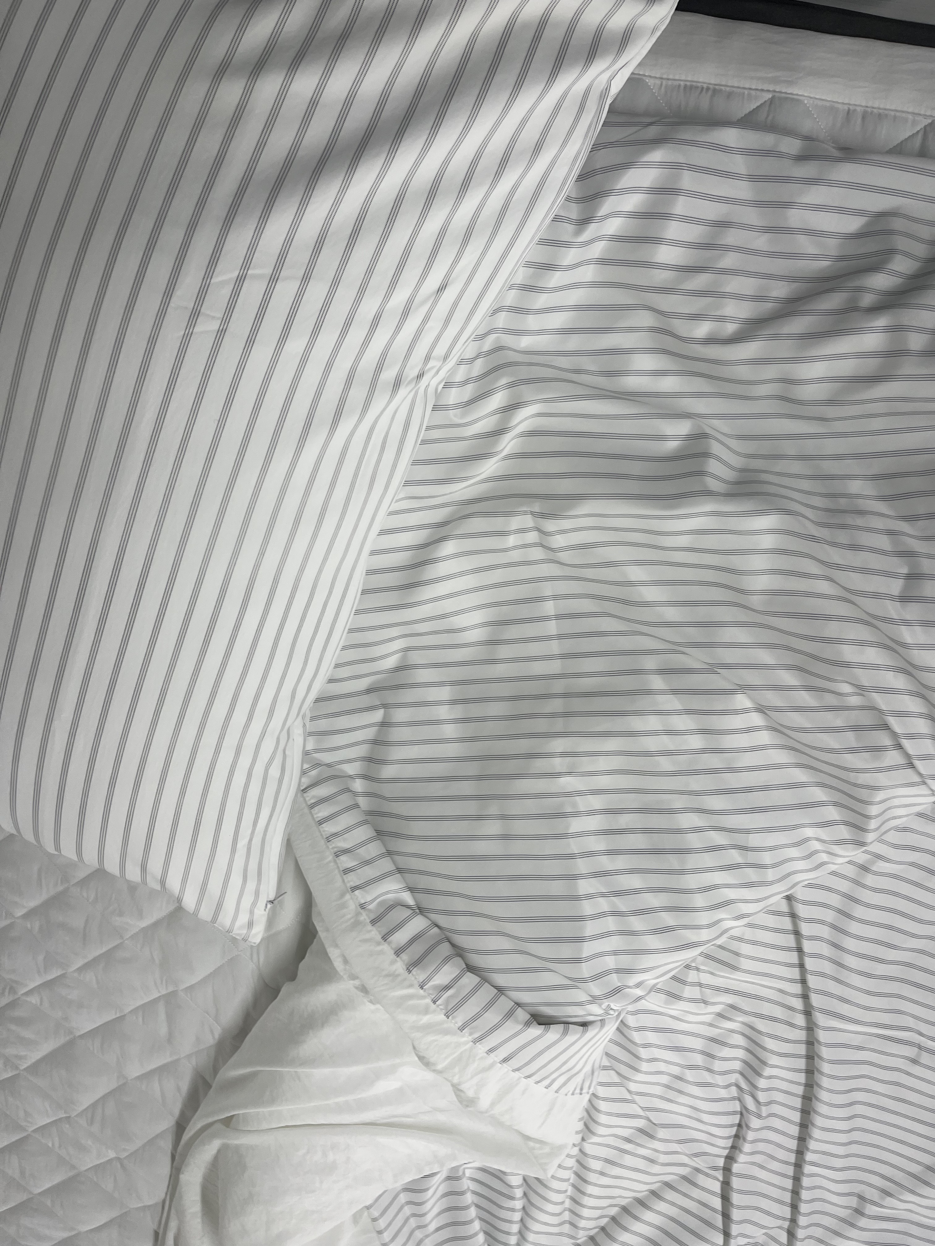 이미지를 찾을 수 없습니다.