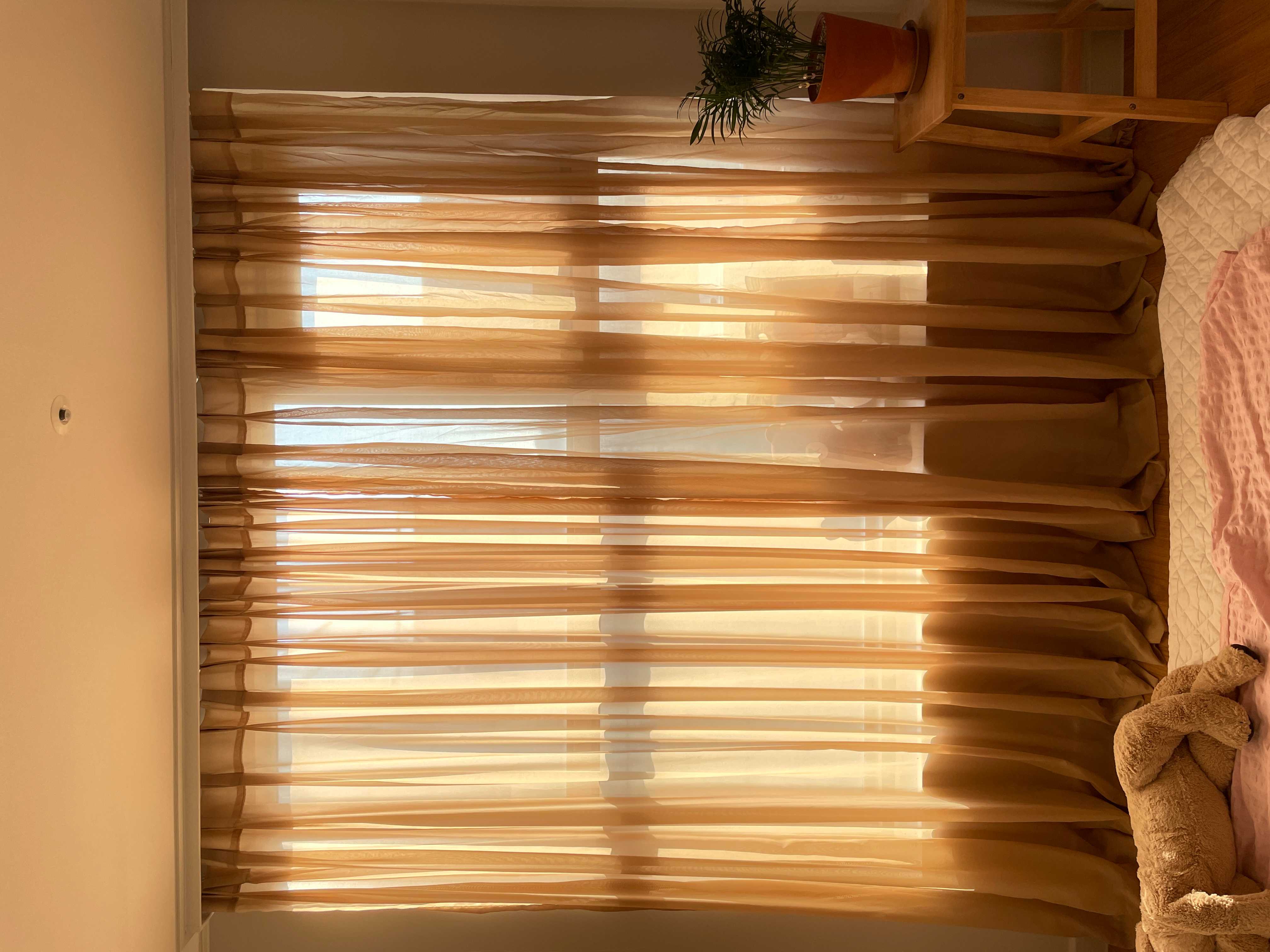 이미지를 찾을 수 없습니다.