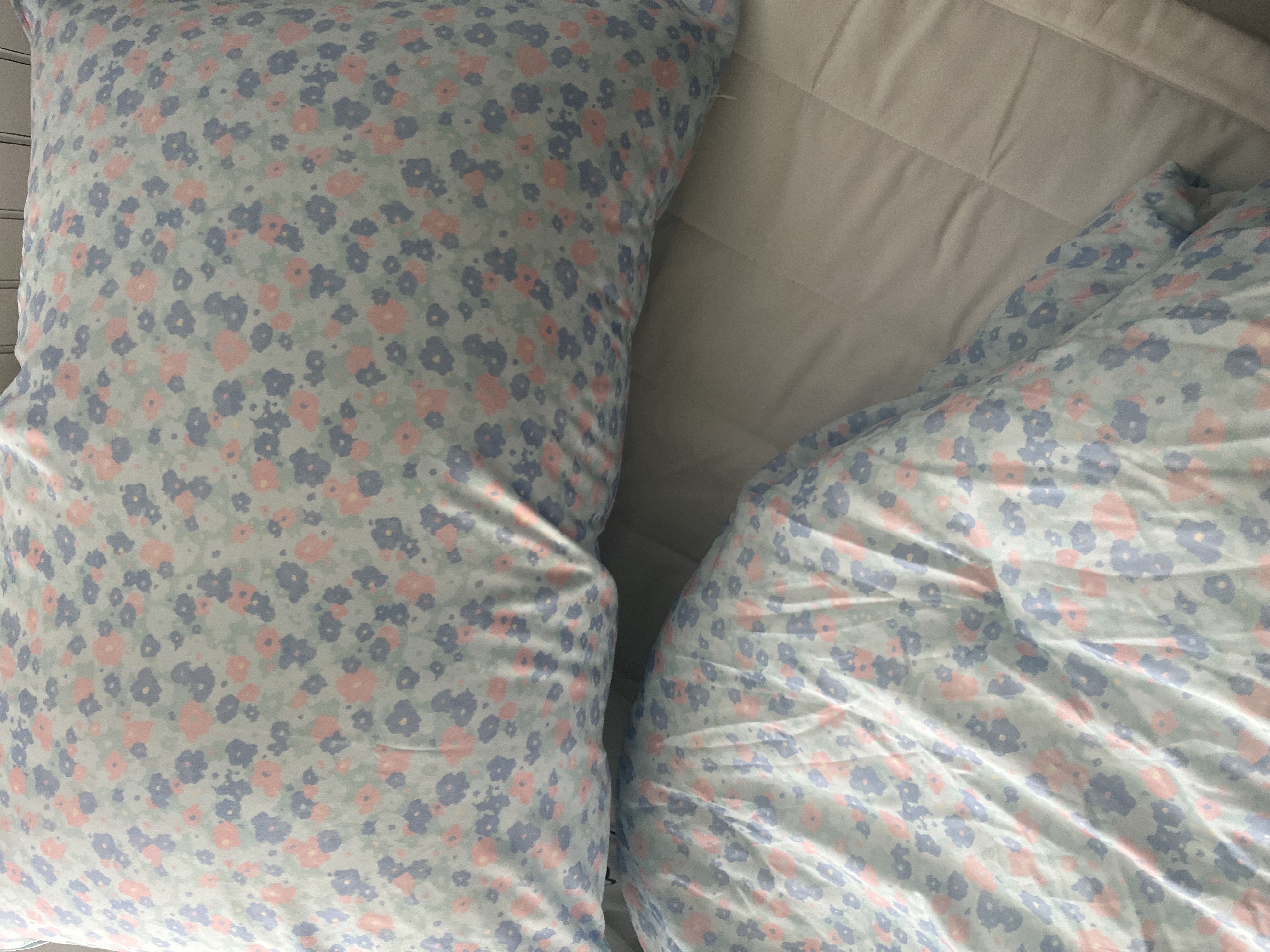 이미지를 찾을 수 없습니다.