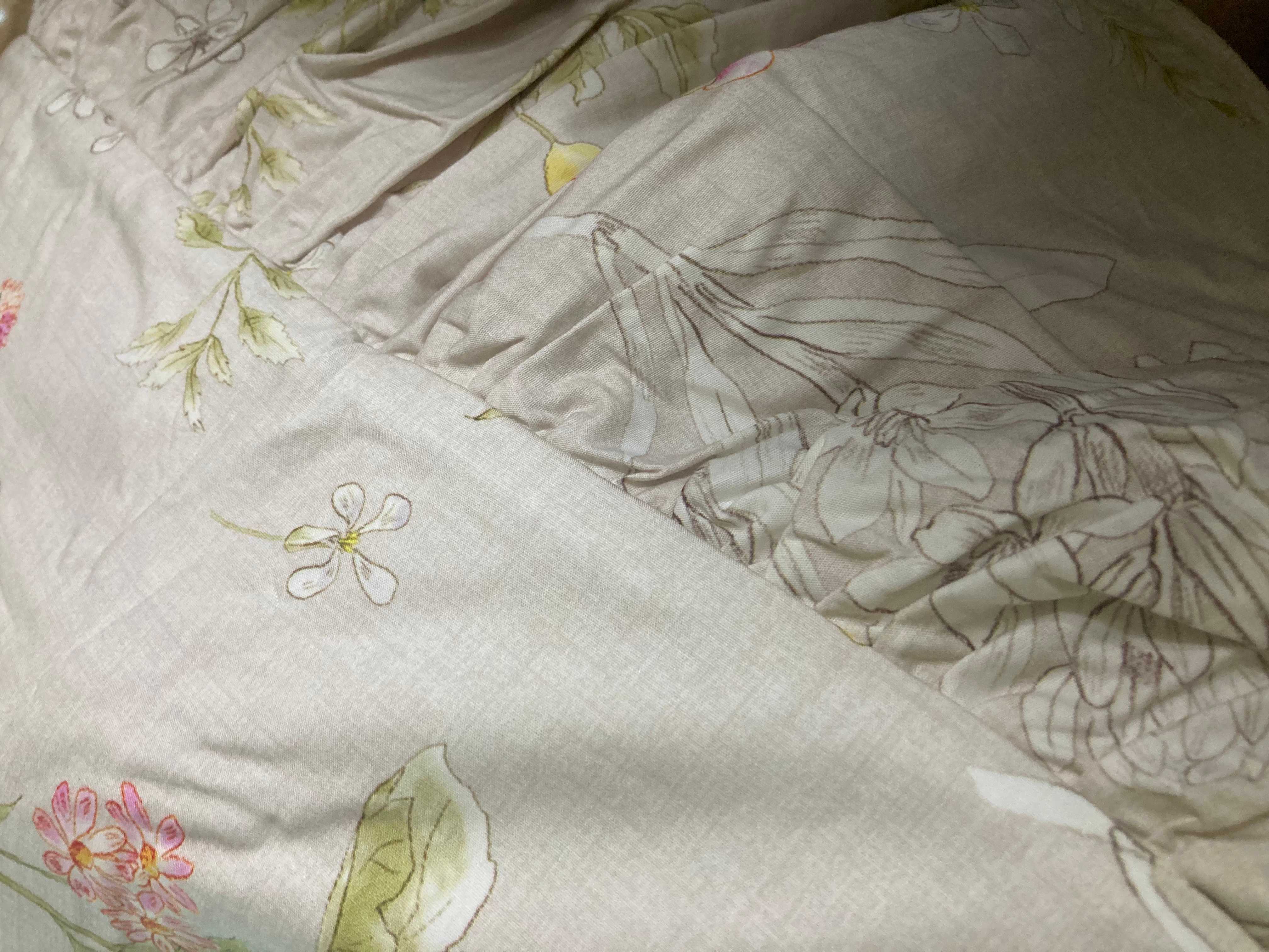 이미지를 찾을 수 없습니다.