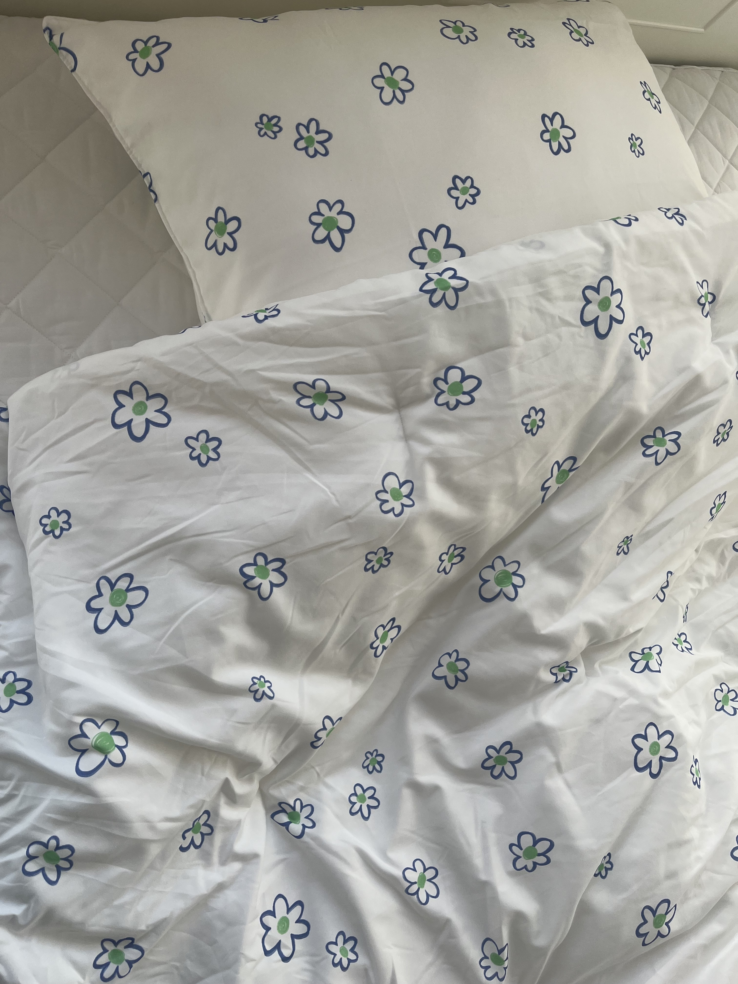 이미지를 찾을 수 없습니다.