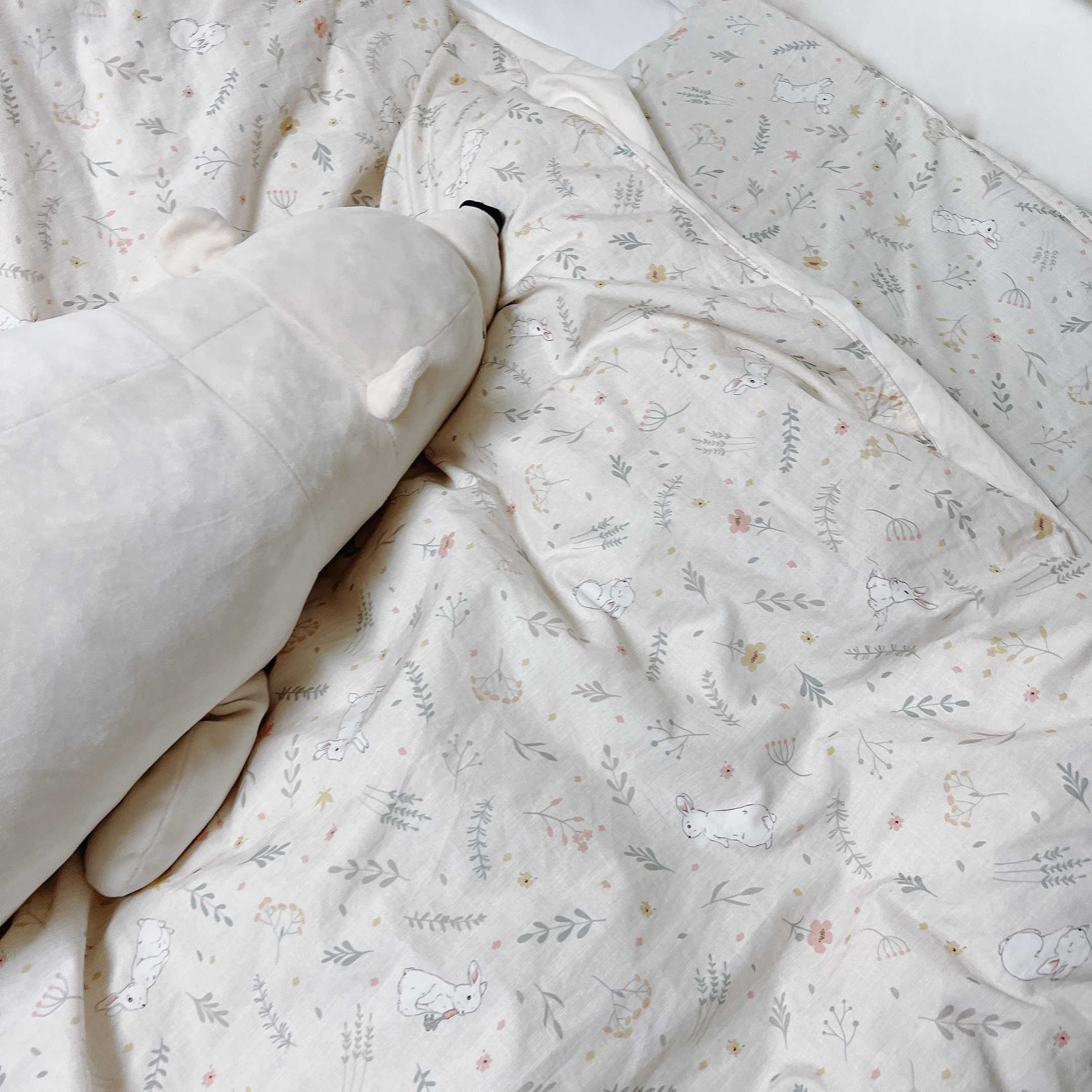 이미지를 찾을 수 없습니다.