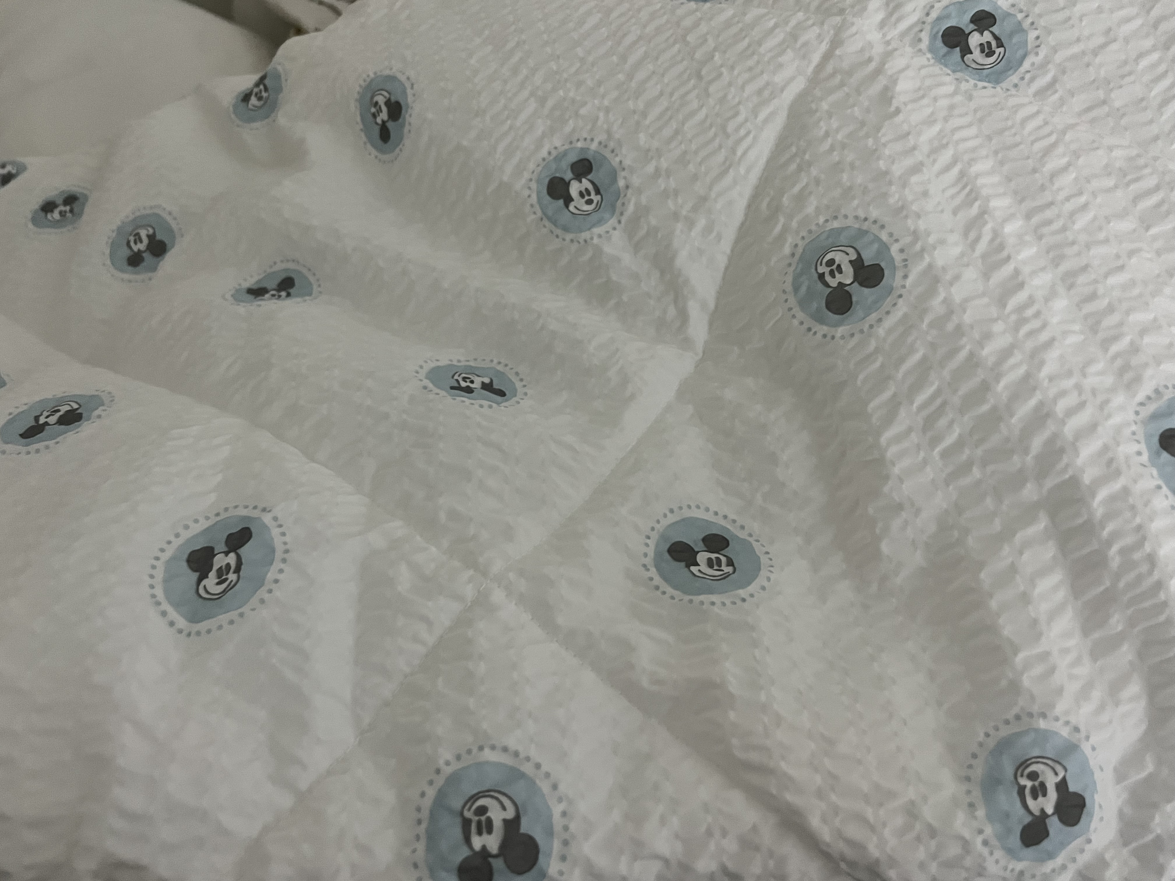 이미지를 찾을 수 없습니다.