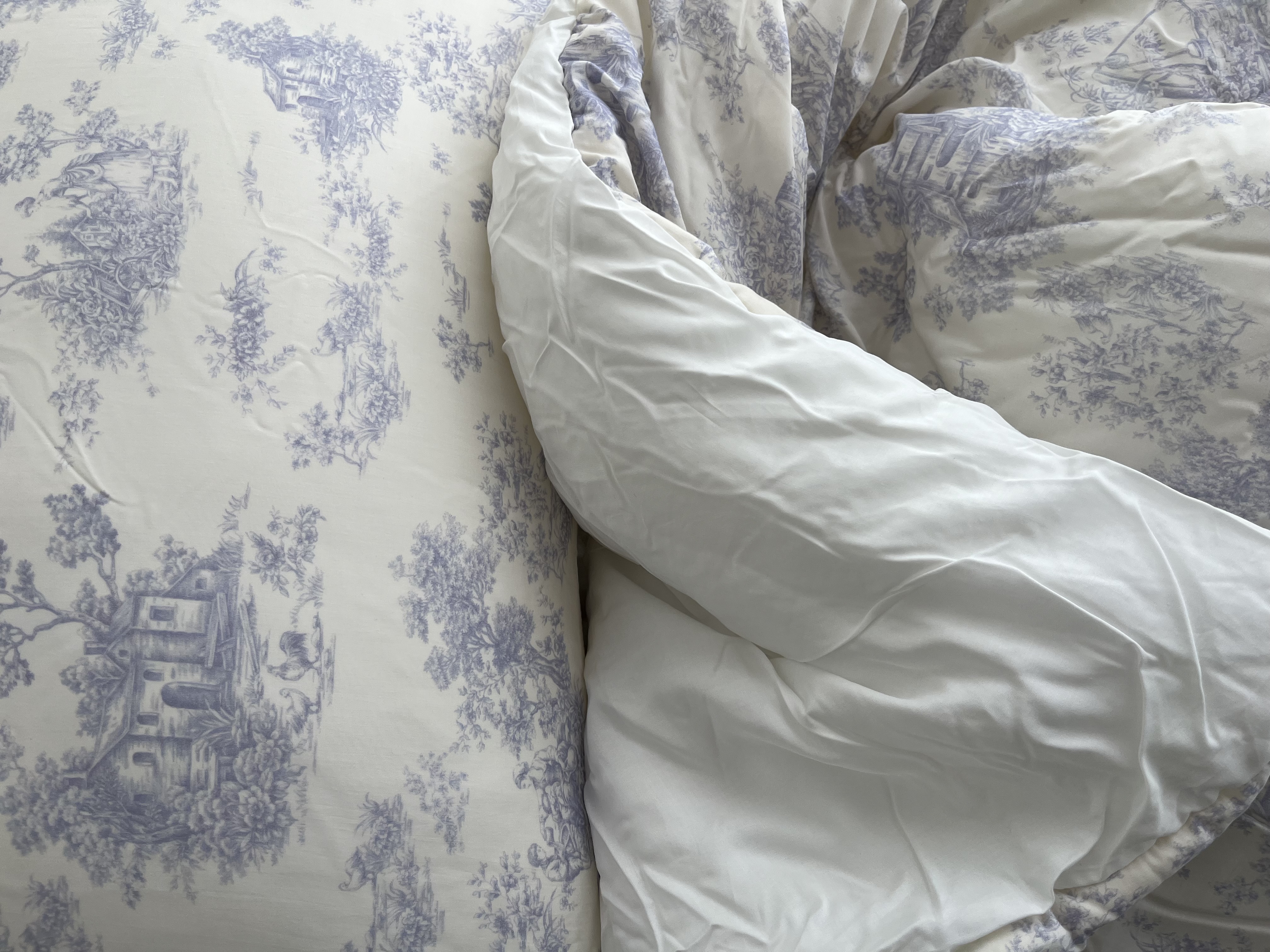 이미지를 찾을 수 없습니다.