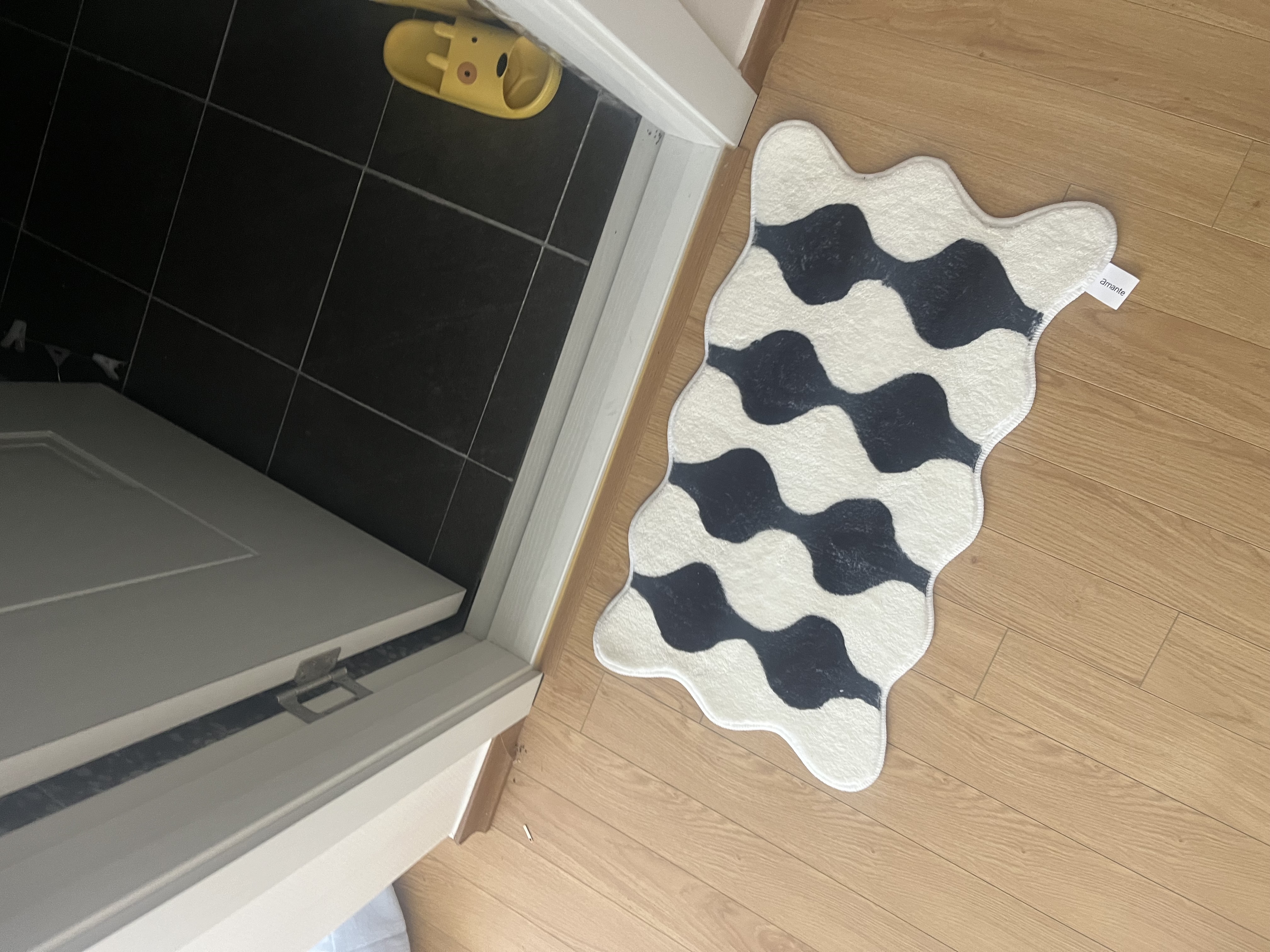 이미지를 찾을 수 없습니다.