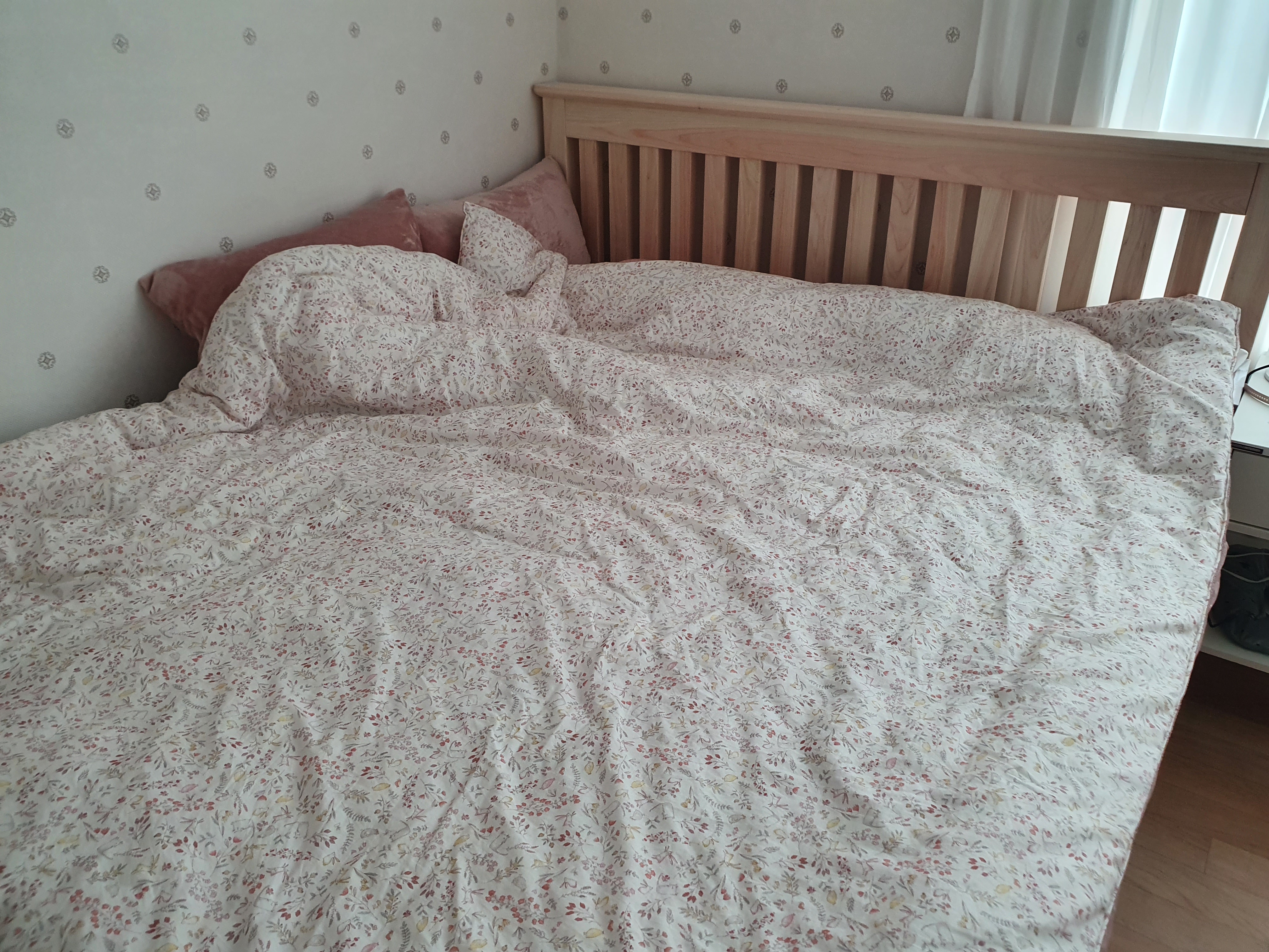 이미지를 찾을 수 없습니다.