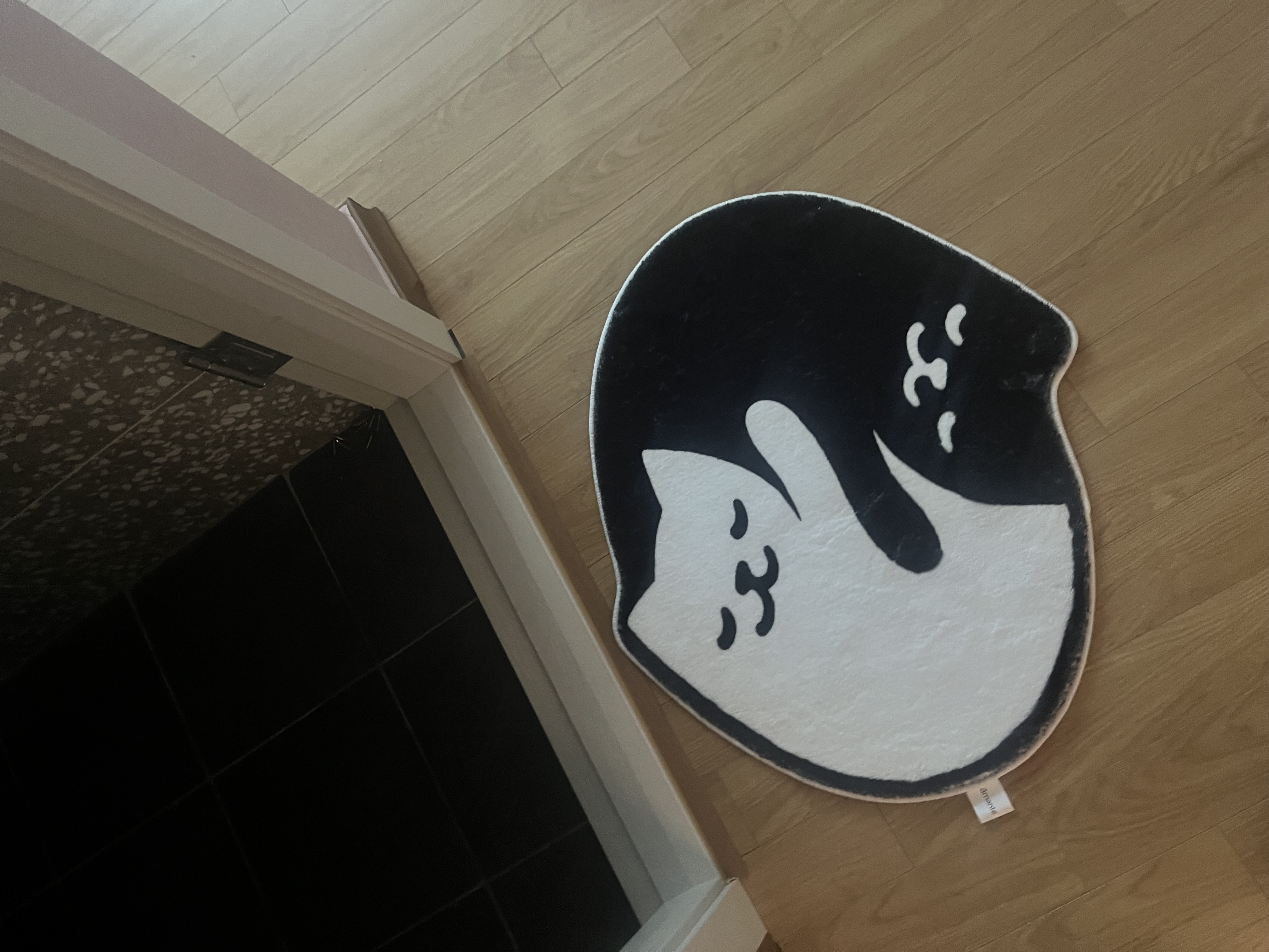 이미지를 찾을 수 없습니다.