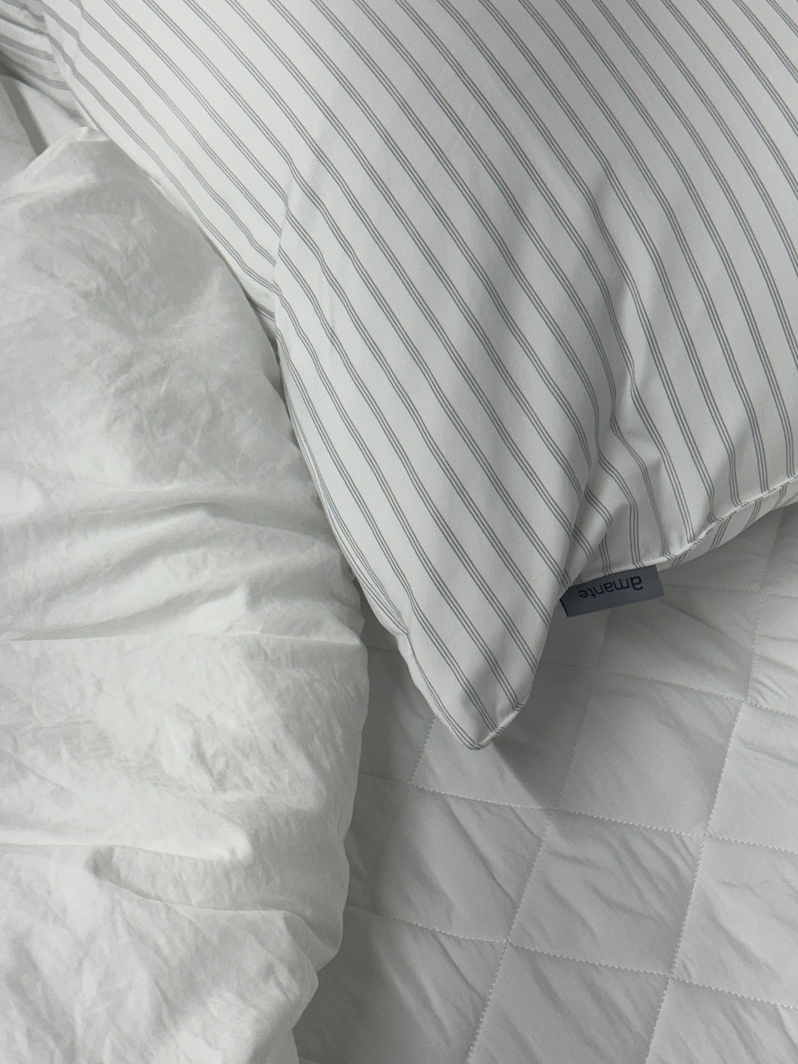 이미지를 찾을 수 없습니다.