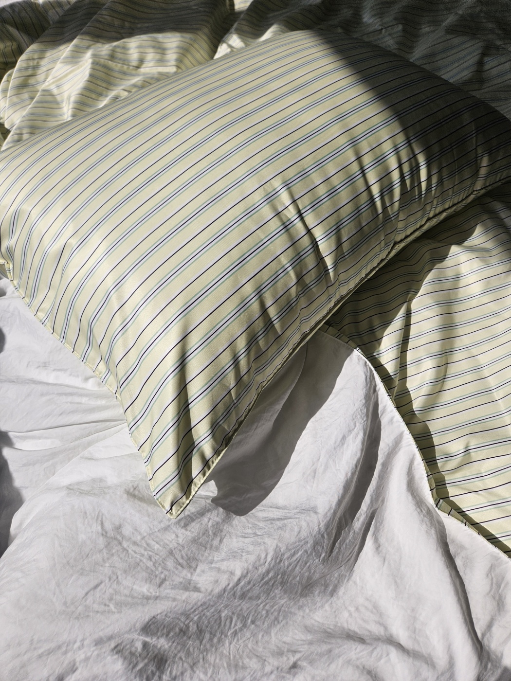 이미지를 찾을 수 없습니다.