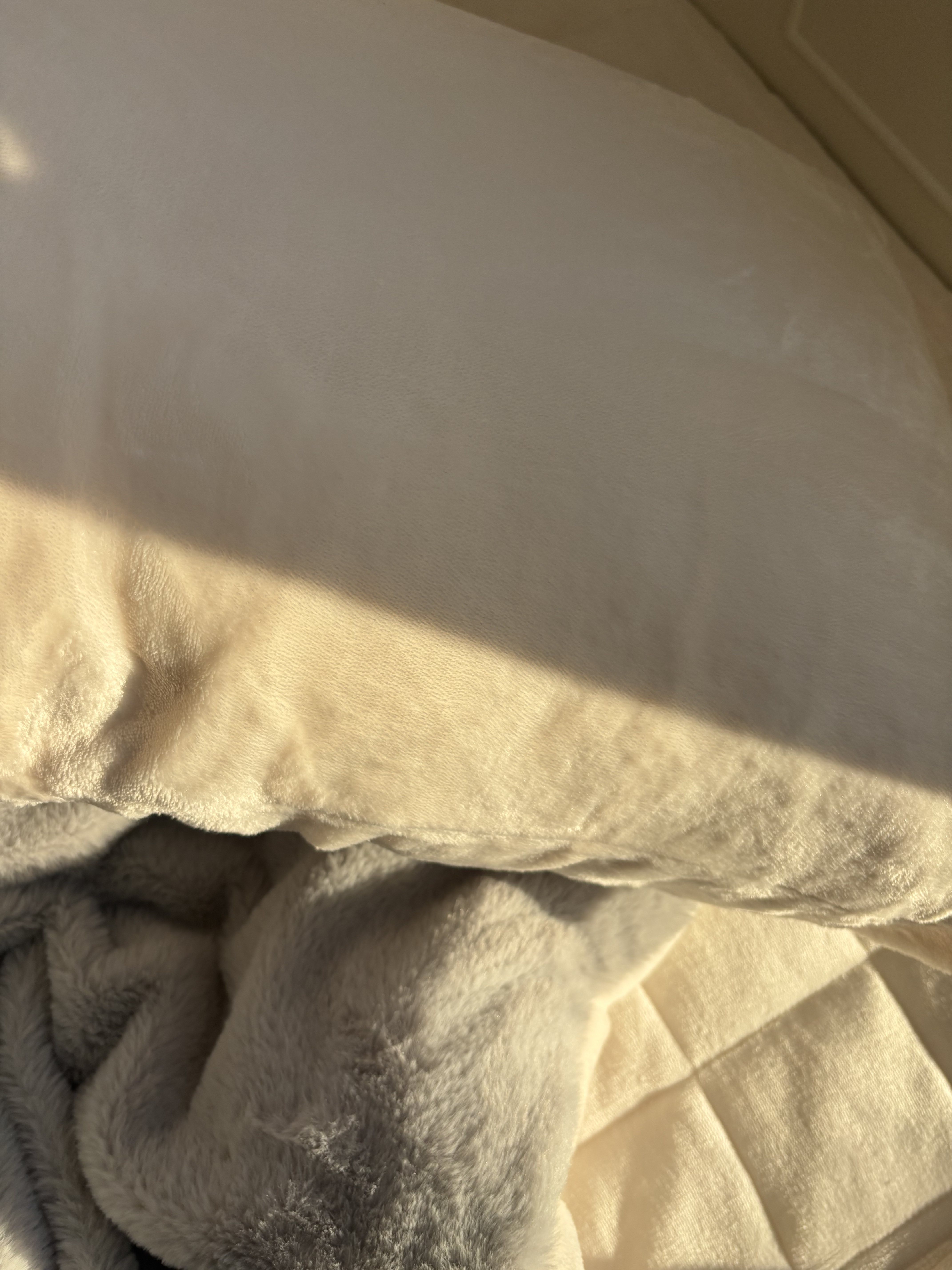 이미지를 찾을 수 없습니다.