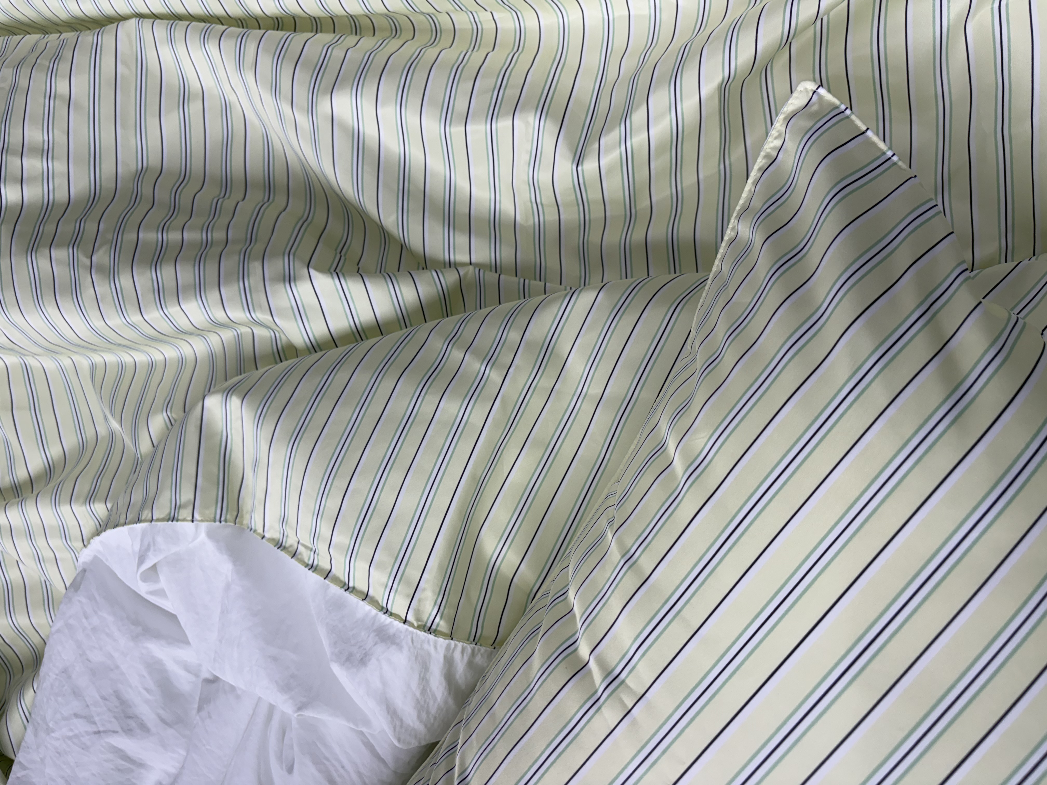 이미지를 찾을 수 없습니다.