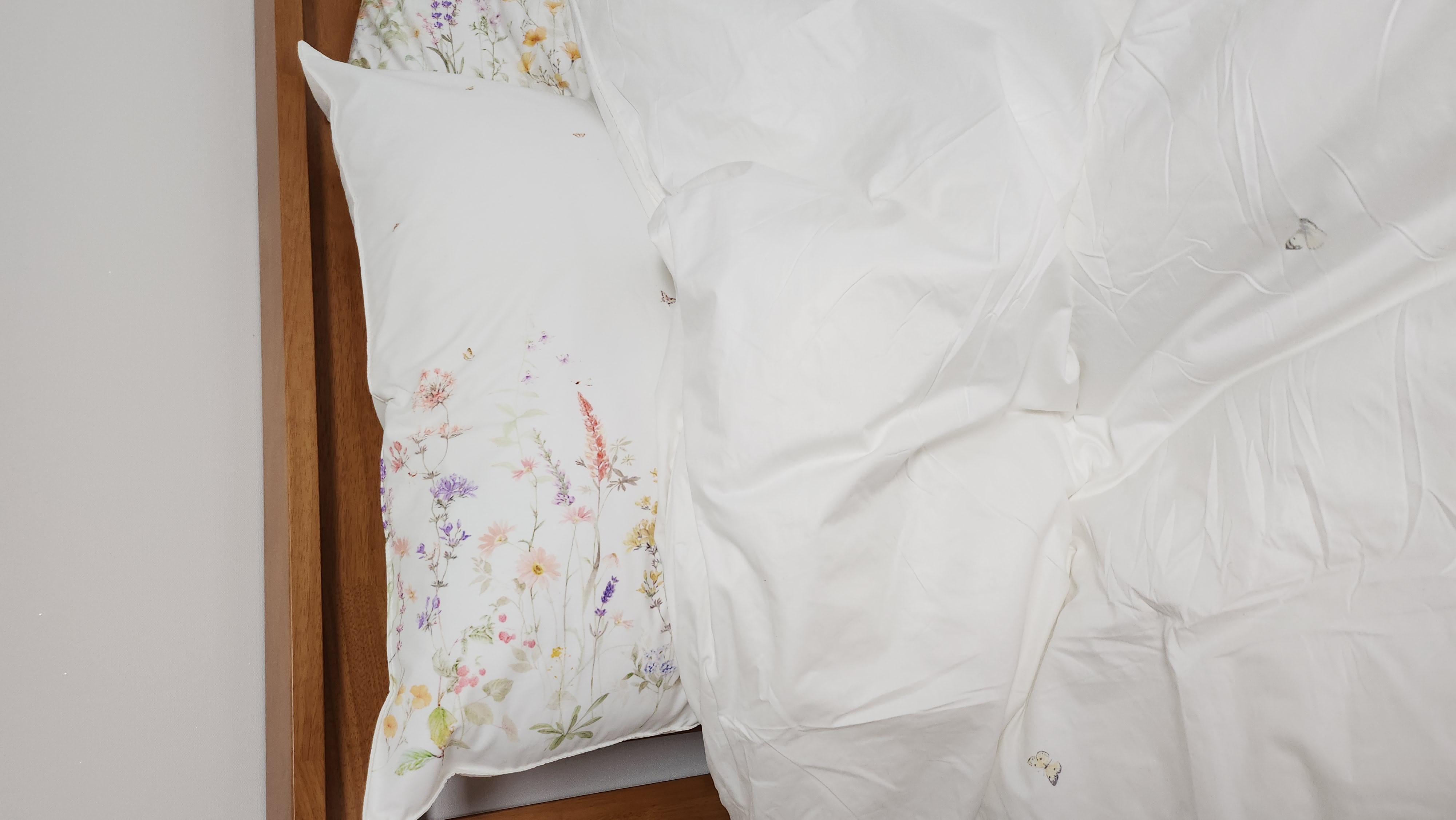 이미지를 찾을 수 없습니다.