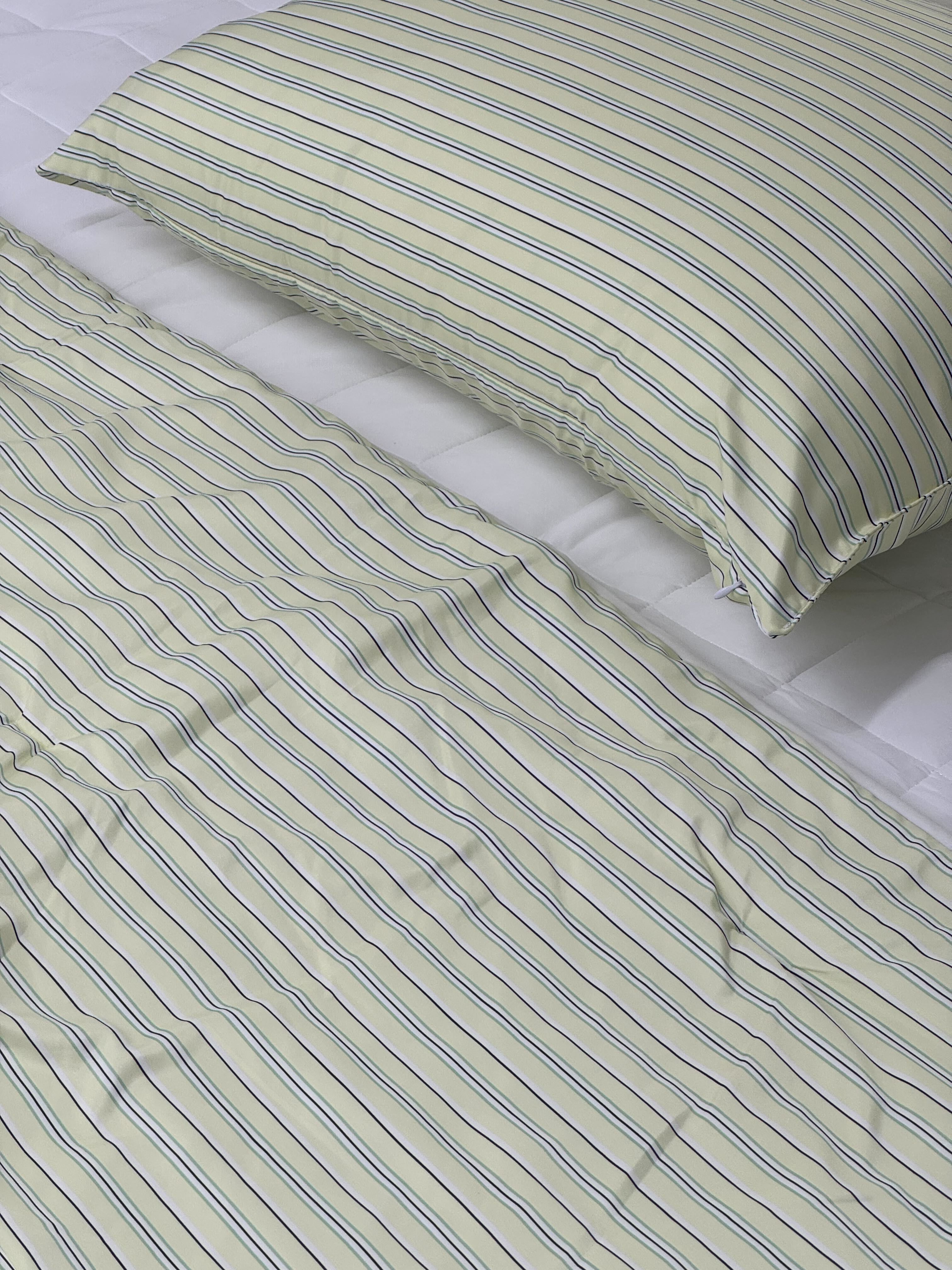 이미지를 찾을 수 없습니다.