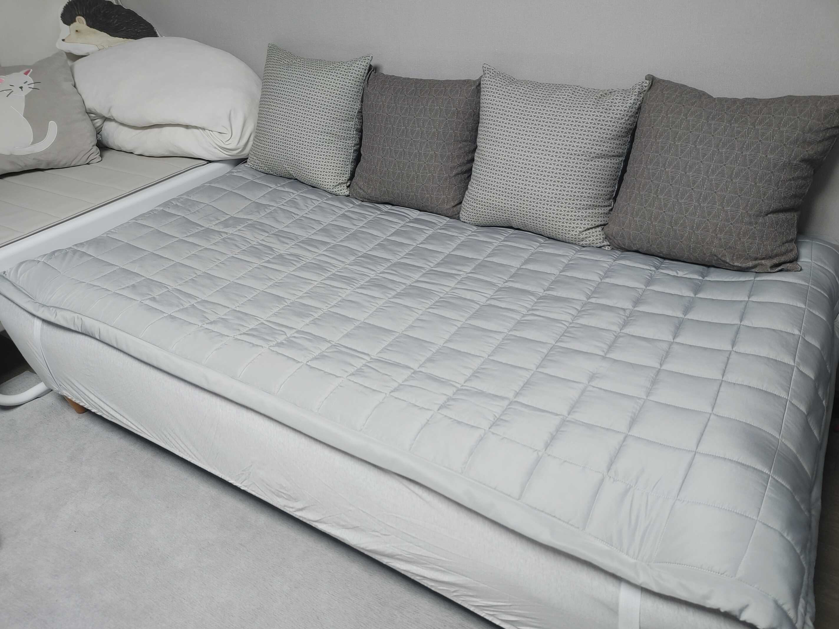 이미지를 찾을 수 없습니다.