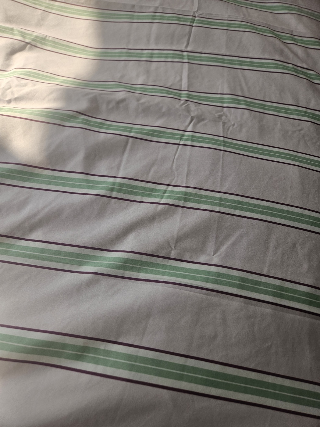 이미지를 찾을 수 없습니다.