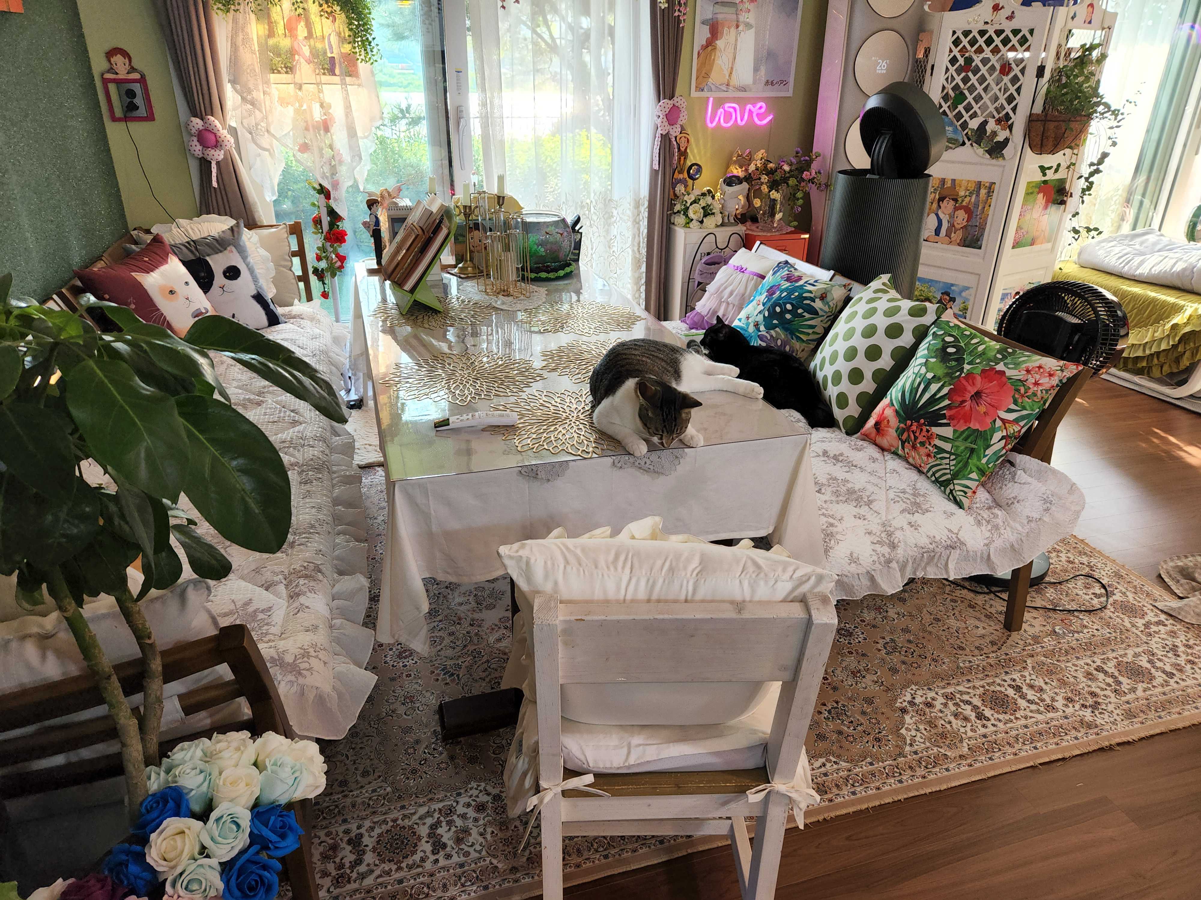 이미지를 찾을 수 없습니다.